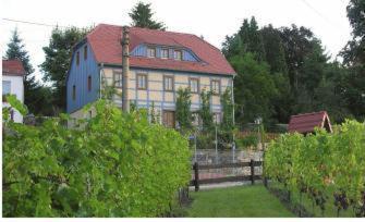 In Der Alten Weinstube Freital Eksteriør billede