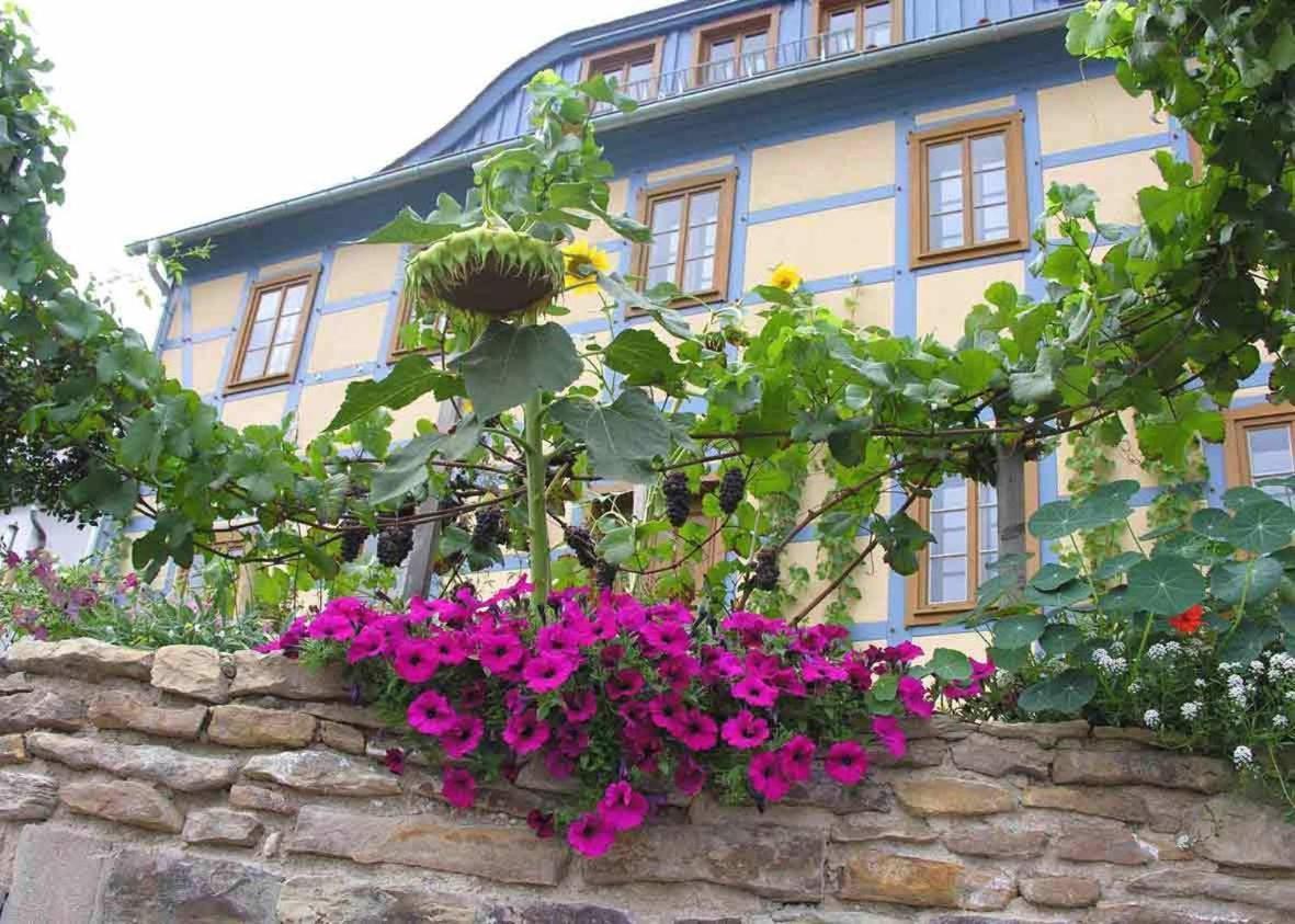 In Der Alten Weinstube Freital Eksteriør billede