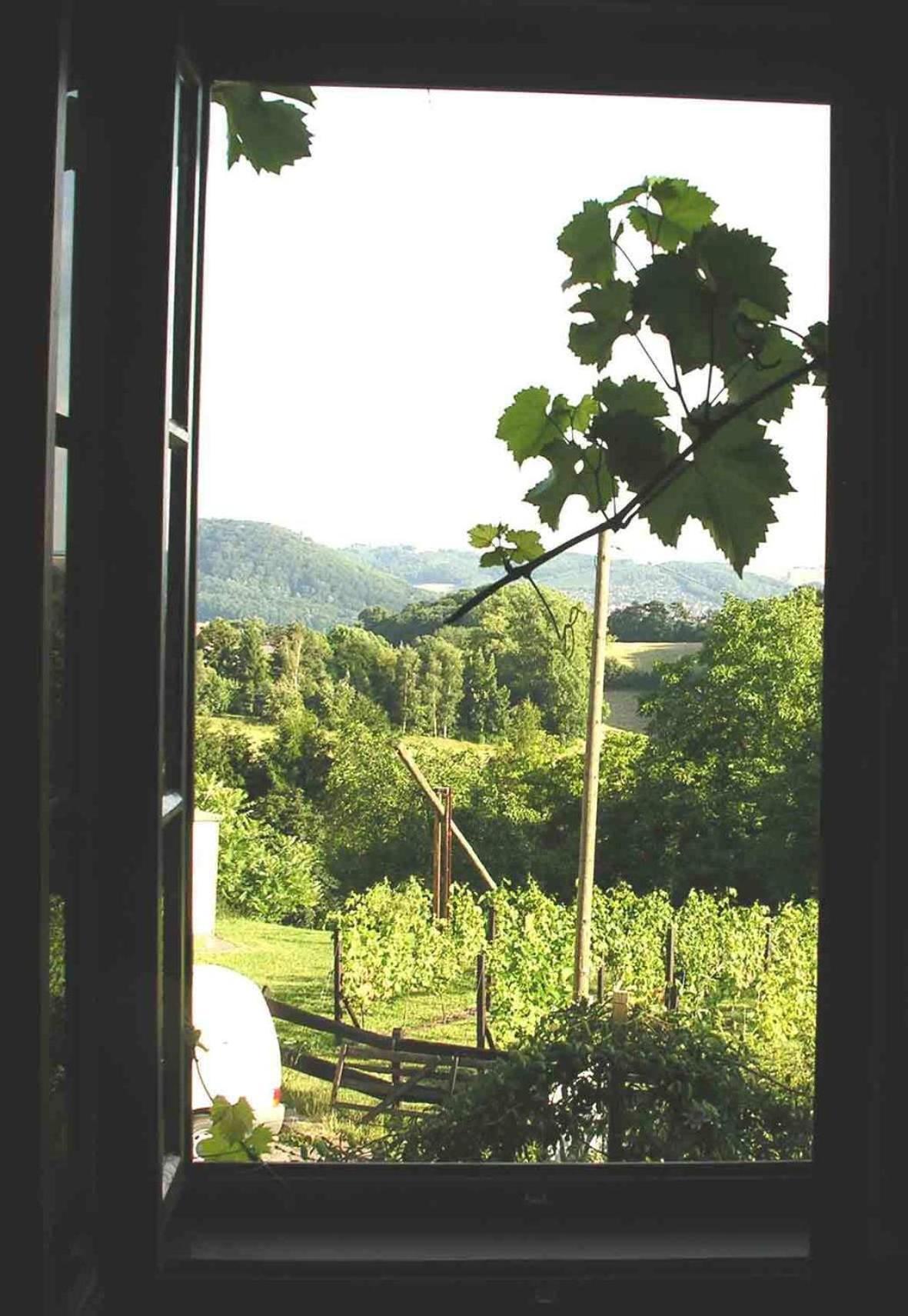 In Der Alten Weinstube Freital Eksteriør billede